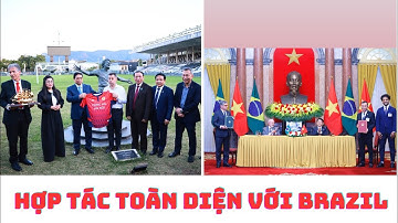 Chủ tịch Nước và Thủ tướng xúc tiến hợp tác bóng dá Việt Nam và Brazil